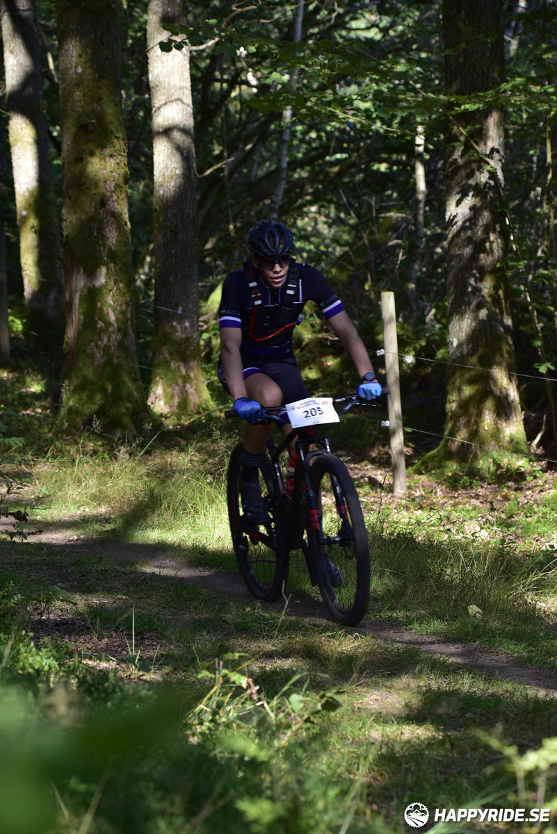 Bild från Bockstensturen 2019